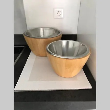 App Le Rocazur Avec Piscine Et Parking En Bord De A 500m Du Centre Menton