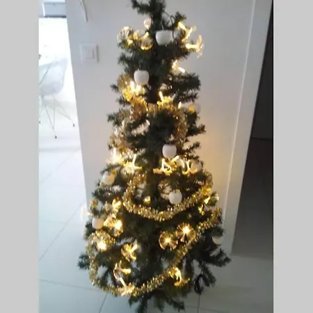 App Le Rocazur Avec Piscine Et Parking En Bord De A 500m Du Centre Daire *